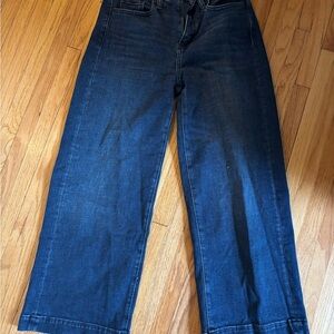 Banana Republic Dark Blue Flare Jeans
